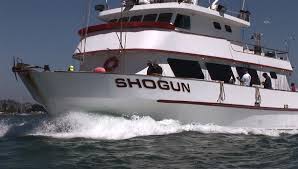 Shogun Sportfishing Home