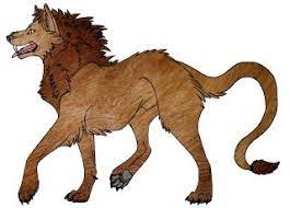 Wolf Lion Hybrid Google Search Wolf Hybrid Hybrid Art Animal Drawings