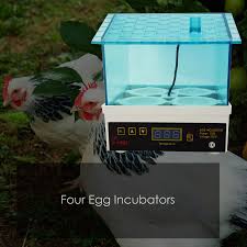 85cm wide x 47cm deep x 44cm high mx bs 500 n avian brooder. Breeding Machine 4 Egg Brooding Machine Chicken Poultry Machine Incubator For Pet Buy At A Low Prices On Joom E Commerce Platform