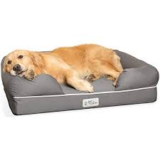Enjoy the process and the. Best Indestructible Chew Proof Dog Beds Durable Beds For Chewers