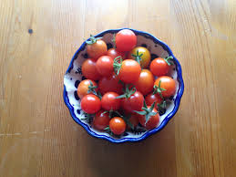 Protect from pests and diseases with yates tomato dust and control snails and slugs with yates blitzem. Sweetie And Tiny Tim Cherry Tomatoes Chowcipes