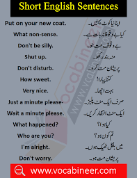 Basic English Sentences With Urdu And Hindi Translation Pdf Vocabineer Basic English Sentences English Sentences Learn English Words
