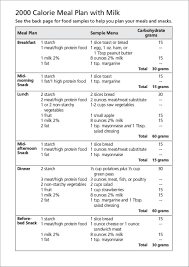 Free 19 Meal Plan Templates Pdf