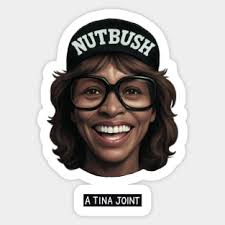 Tina Stickers for Sale