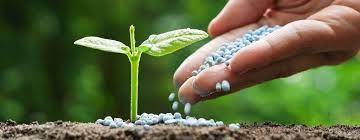 Posted in chimie, învăţământ gimnazial tags: Clasificarea IngrÄƒsÄƒmintelor Din Punct De Vedere Chimic Si Al Gradului De Accesibilitate Pentru Plante