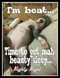 Good Night Memes Funny Goodnight Memes For Him And Her Good Night Funny Good Night Meme Funny Good Morning Messages