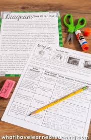 Ecosystems And Biodiversity Third Grade Science Stations Third Grade Science Third Grade Science Stations Science Stations