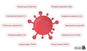 Importancia De Las Enfermedades De Transmision Sexual Ets En La Fertilidad