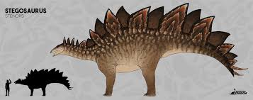 Image result for Stenops