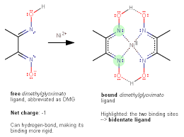 Structure of the pharmaceutical oxaliplatin, which features two different bidentate ligands. Explain The Difference Between 1 2 And 1 3 Chelating Amines Show Example Socratic