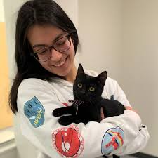 Tiny Kitten Just Wants to Run Again