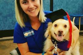 Directory of Dog Trainers in Rockland, MA