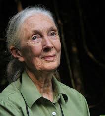 The BV Magazine, July 23 by BV