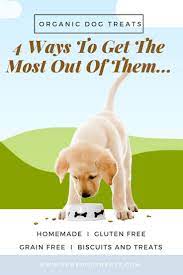 Organic Dog Treats 4 Ways To Get The Most Out Of Them Organic Dog Organic Dog Treats Dog Treats