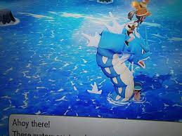 I Don T Like What This Chap Is Doing To My Gyarados Pokemon The Originals Theme