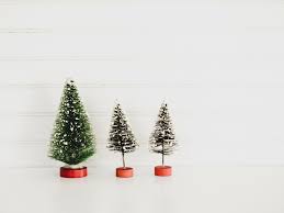 Get directions link opens in new tab. Ethical And Sustainable Christmas Trees Ethical Net