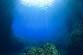 According To A Recent Study Microbes Are Living In Rocks On The Bottom Of The Ocean And Consuming Massive Amo Earth And Space Science Earth From Space Methane