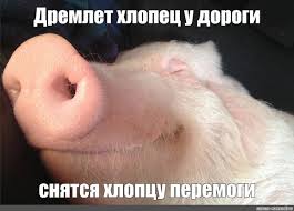 images?q=tbn:ANd9GcRlVpgUVTBGH7H2mnu5B8R