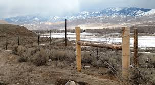 These extra strainer posts will ensure the integrity of your fence against large animals. Barb Wire Fence You Ve Got To Brace It Correctly Beef Magazine