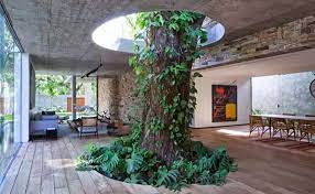 Hier kommen die zehn besten tipps für eine kühlere wohnung. Der Baum Als Gestaltungselement Im Heutigen Interior Design Freshouse