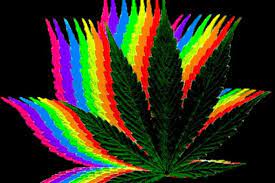 We did not find results for: 50 Psychedelic Weed Wallpaper On Wallpapersafari