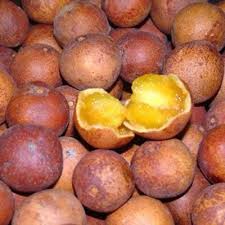 Image result for Dialium holtzii