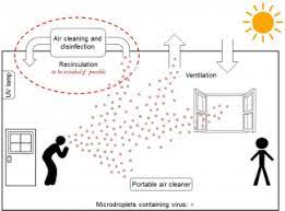 Just remember to pull them out when they're still a tad lighter than you'd like — the. Preventing The Spread Of Covid 19 By Circulating Air In Schools And Other Buildings Ri Covid 19 Information Portal