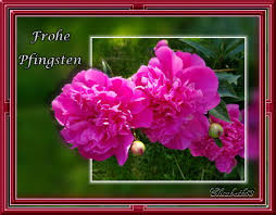 We did not find results for: Neues Aus Derchat Bastelgruppe Seite 79 Forum Im Seniorentreff