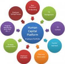 Human capital is the stock of habits, knowledge, social and personality attributes (including creativity) embodied in the ability to perform labour so as to produce economic value. What Is Human Capital Management Business Research Guide