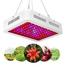 Led grow lights can provide full spectrum light wavelengths which are suitable for vegetative and flowering stages of your grow. Swiftrans 600w Led Grow Light For Plant Full Spectrum High Efficient Hydroponic Garden Greenhouse And Hydroponic Aquatic Pricepulse