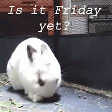 Friday is one of the most interesting days of the week that why i love friday. Lisp Is It Friday Yet Meme Page 1 Line 17qq Com