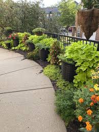 Check spelling or type a new query. Miracle Gro Moisture Control Potting Mix 2 Cu Ft Fred Meyer