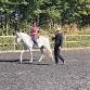 Arne Koets Uk Clinic: Historical & Classical event image