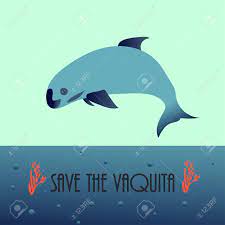 Check spelling or type a new query. Vaquita Marina Blue Whale Sealife Vector Illustration Royalty Free Cliparts Vectors And Stock Illustration Image 107103647