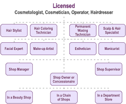 Opportunities Hair Nail Cosmetology Cameo Beauty Academy