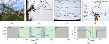 Motion detectors can be active or passive. System Design For Inferring Colony Level Pollination Activity Through Miniature Bee Mounted Sensors Scientific Reports