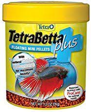 Feeding Bettas Betta Fish Care For Fighting Fish Enthusiasts With Images Betta Betta Fish Care Fish Care