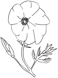 Coloring pages, on the other hand, are similar to coloring books but are in a single sheet/page form. Poppy Flower Coloring Pages Download And Print Poppy Flower Coloring Pages