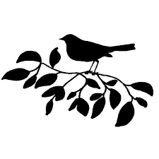 Veloursmotief Vogel Op Tak Zwart Vogels Vogels Tekenen Dieren