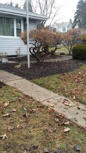 Toiling on your lawn throughout the summer just to watch it get dumped on by foot after foot of snow every winter can get pretty frustrating—especially if you're still. Tlc Lawn Care Home Facebook