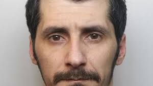 Sick Vasile Culea jailed for life for murdering pensioner Freda Walker