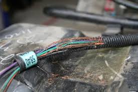 Check spelling or type a new query. No More Mr Mice Guy How One Driver Beat The Rodents Eating His Car Hagerty Uk