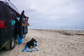 Maybe you would like to learn more about one of these? Malaquite Campground Padre Island Tx 3 Hipcamper Reviews And 8 Photos
