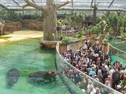 173, 50735 köln, γερμανία adresse. 150 Jahre Kolner Zoo Tierisch Kolsch Neues Erlebnisprojekt Im Kolner Zoo Eroffnet Der Hippodom