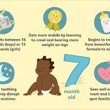 Your baby's motor skills are improving. Your 7 Month Old Baby Development Milestones