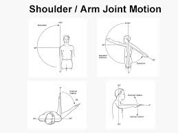 Hence, there are numerous books getting into pdf format. Venous Drainage Of The Upper Limb Basilic Auto Electrical Wiring Diagram