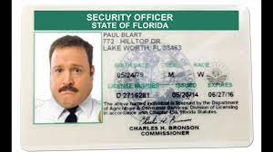 For more information on how to find immediate openings for security guard jobs click here. How To Check Your Florida Security License Youtube