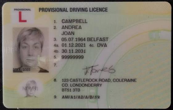 The photocard driving licence explained | nidirect