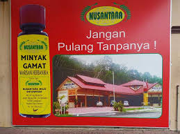 Apakah kebaikan minyak ikan omega 3? Gamat Nusantara Maju Langkawi Percutian Bajet