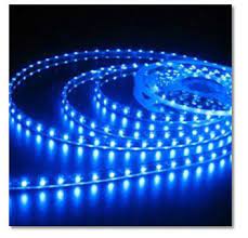 Led Light Strip 20 15 Blue Leds By Hamilton Technology Http Www Aquacave Com Led Light Strip 20 15 B Led Strip Lighting Led Tape Lighting Led Light Strips